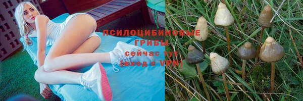 кокаин колумбия Липки